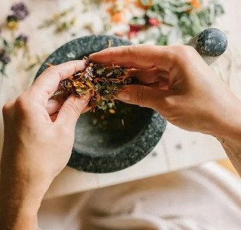 FITOTERÁPIA, gyógynövény ismeret tanfolyam, 2026. Júliusi indulás