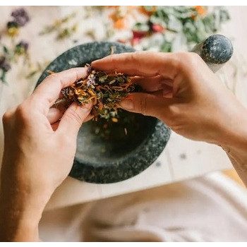 FITOTERÁPIA, gyógynövény ismeret tanfolyam, 2026. Júliusi indulás