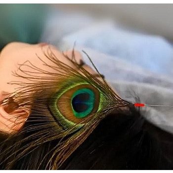 Peacock Touch™ Pávatollas  finom érintéses arcmasszázs tanfolyam