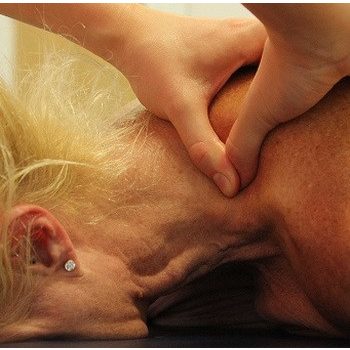 Mozgásszervi fájdalomcsillapító masszázs tanfolyam I-es képzés